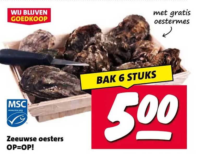 Zeeuwse oesters OP=OP! BAK 6 STUKS