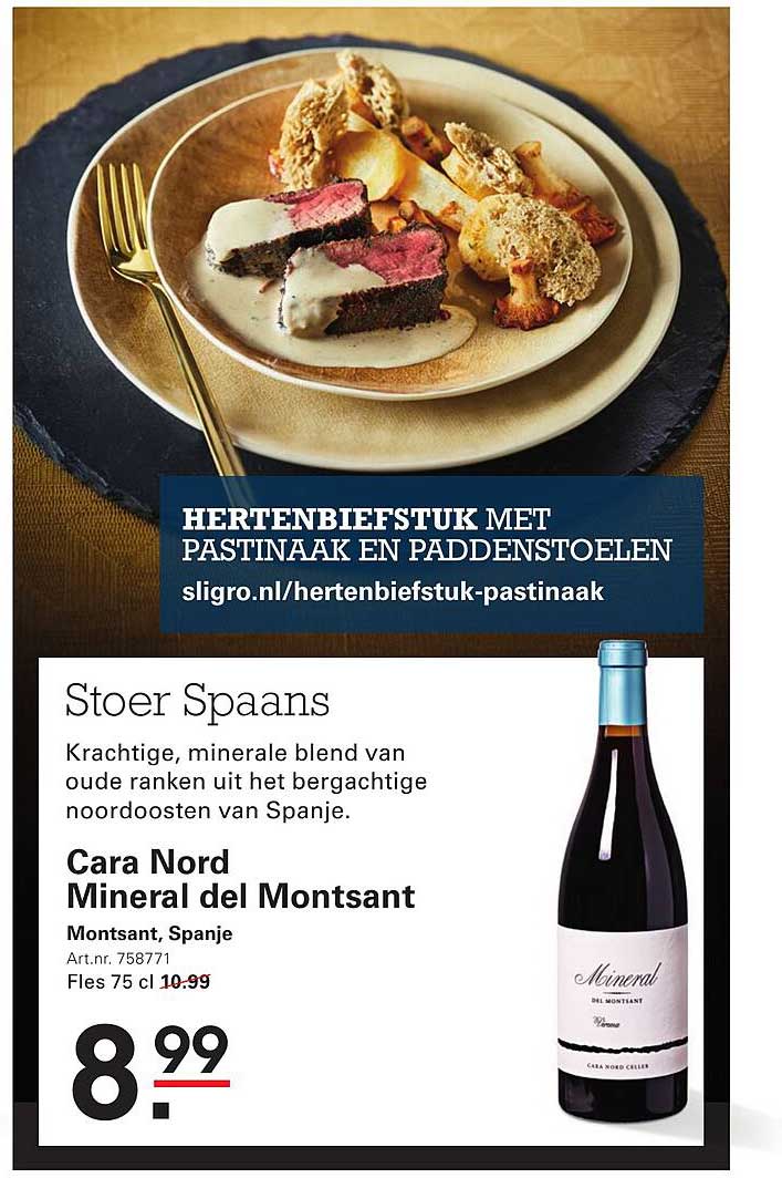 HERTENBIEFSTUK MET PASTINAAK EN PADDENSTOELEN