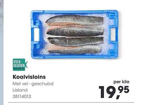 Koolvisloins Met vel - geschubd