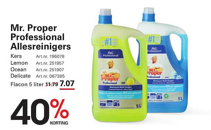 Mr. Proper Professional Allesreinigers