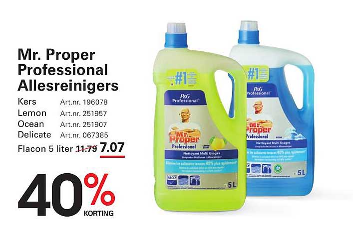 Mr. Proper Professional Allesreinigers