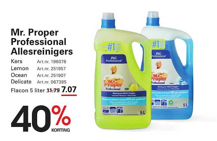 Mr. Proper Professional Allesreinigers
