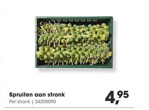 Spruiten aan stronk