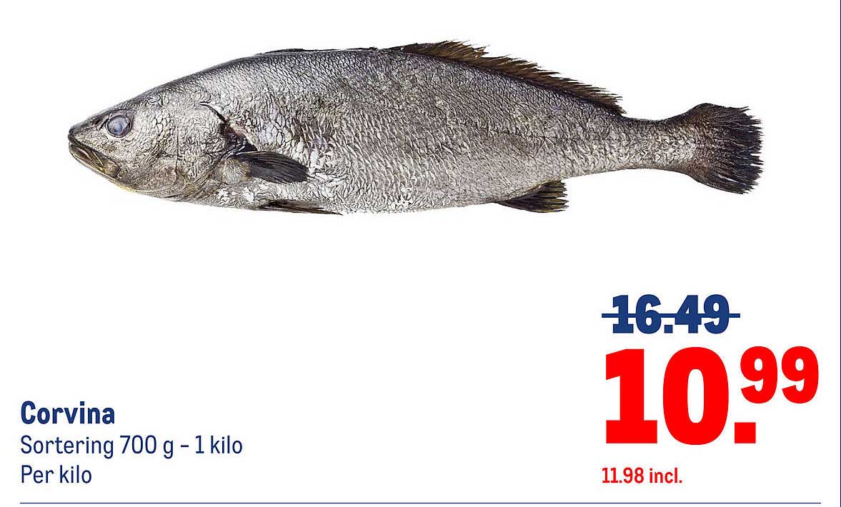 Corvina Sorteering 700 g - 1 kilo