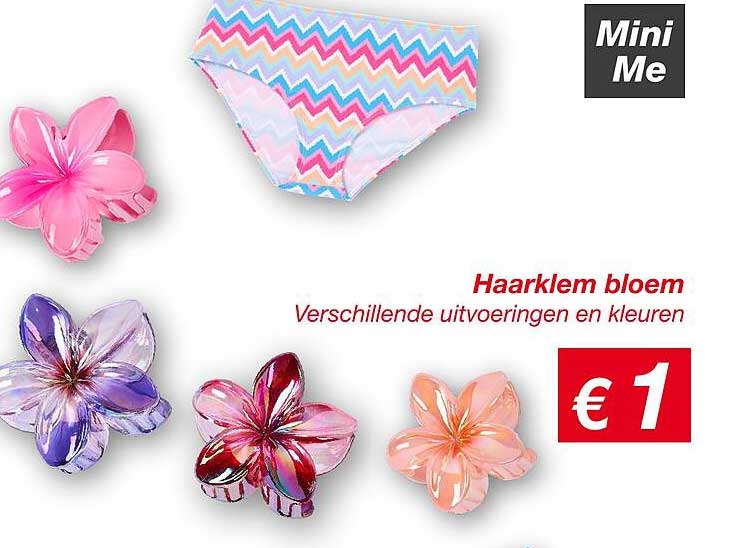 Haarklem bloem