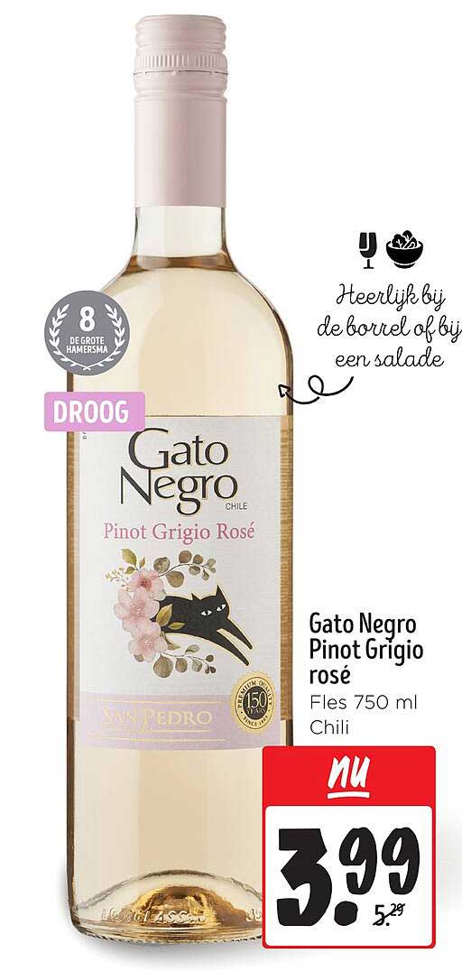 Gato Negro Pinot Grigio rosé Fles 750 ml