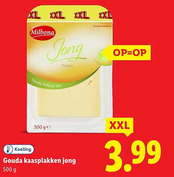 Gouda kaasplakken jong