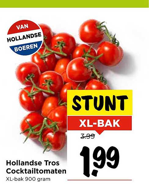 Hollandse Tros Cocktailtomaten XL-bak 900 gram