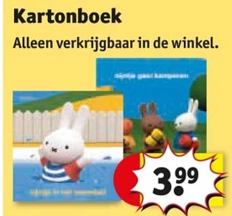 Kartonnen boek