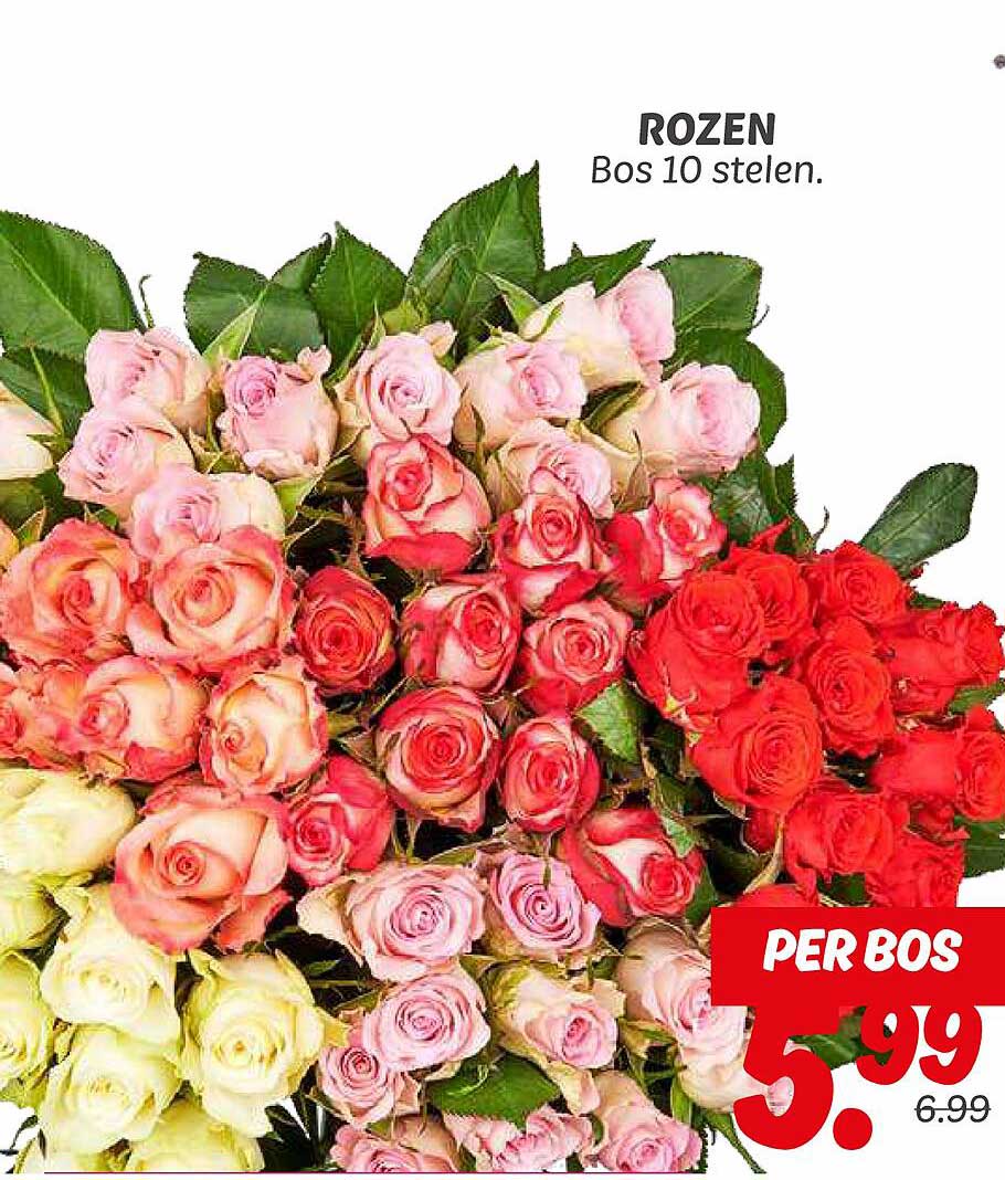 ROZEN Bos 10 stelen.