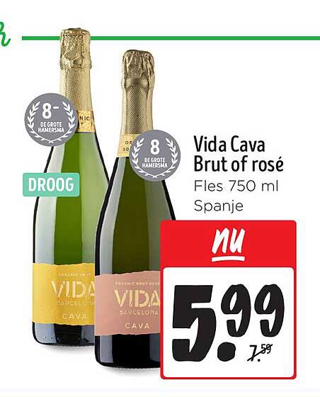 Vida Cava Brut of rosé Fles 750 ml Spanje