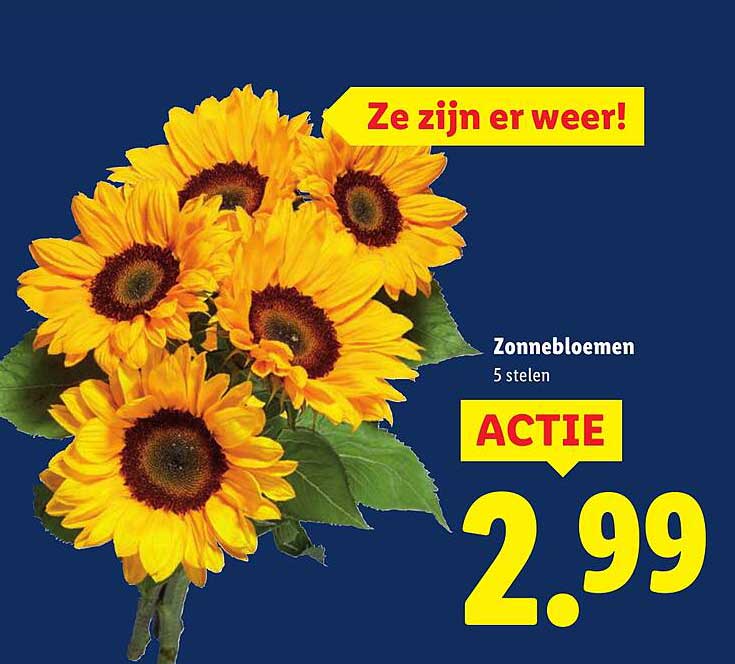 Zonnebloemen 5 stelen