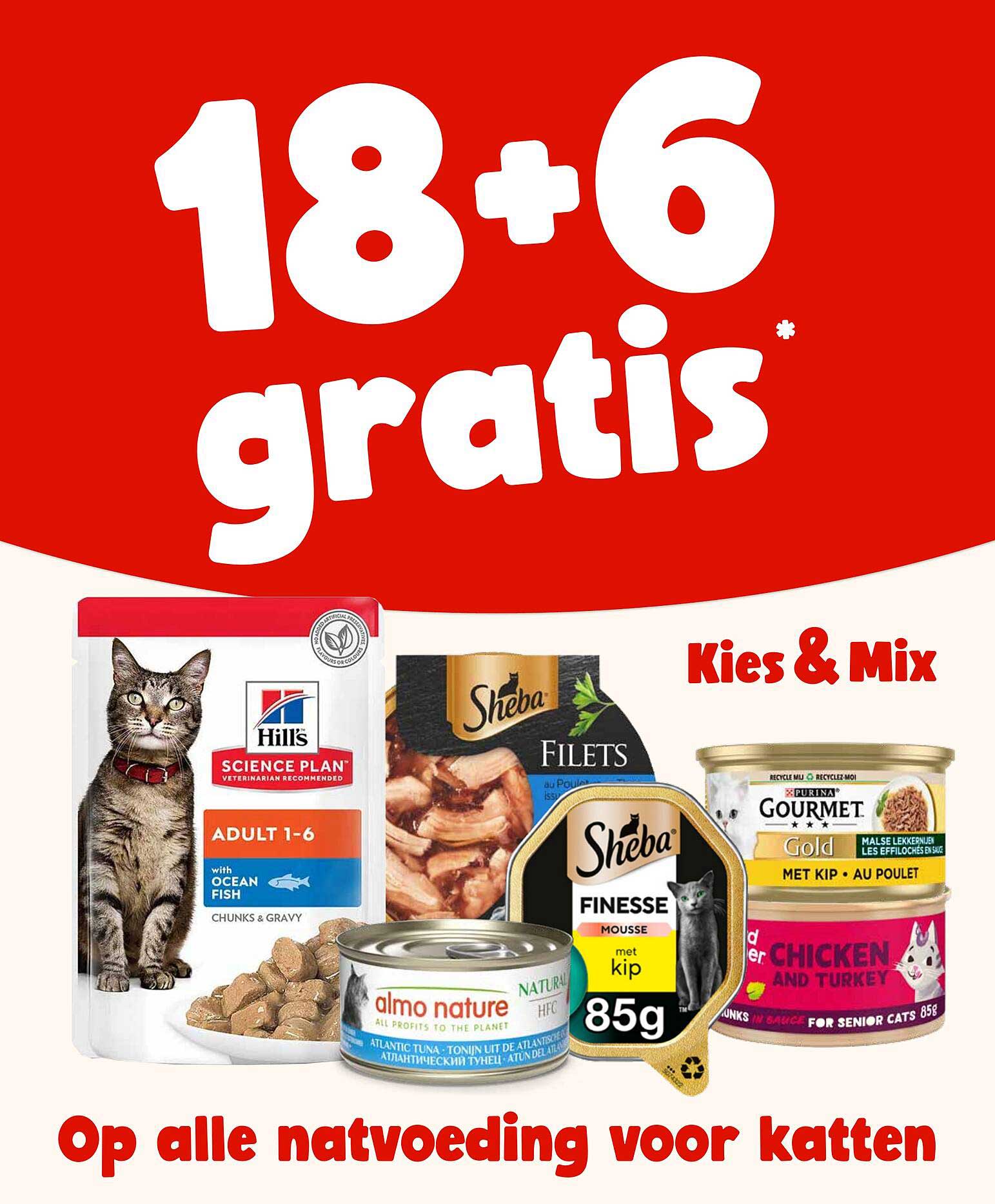 18+6 gratis