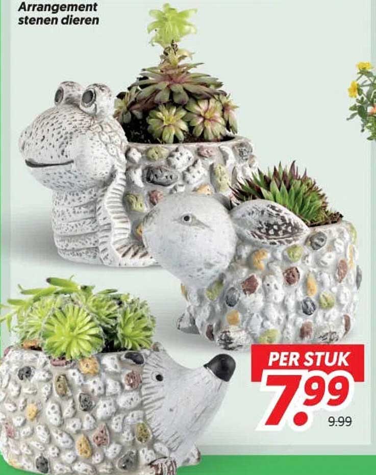 Arrangement stenen dieren