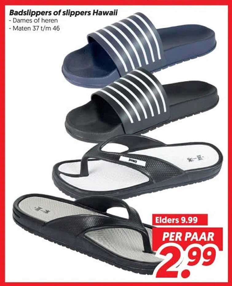 Badslippers of slippers Hawaii