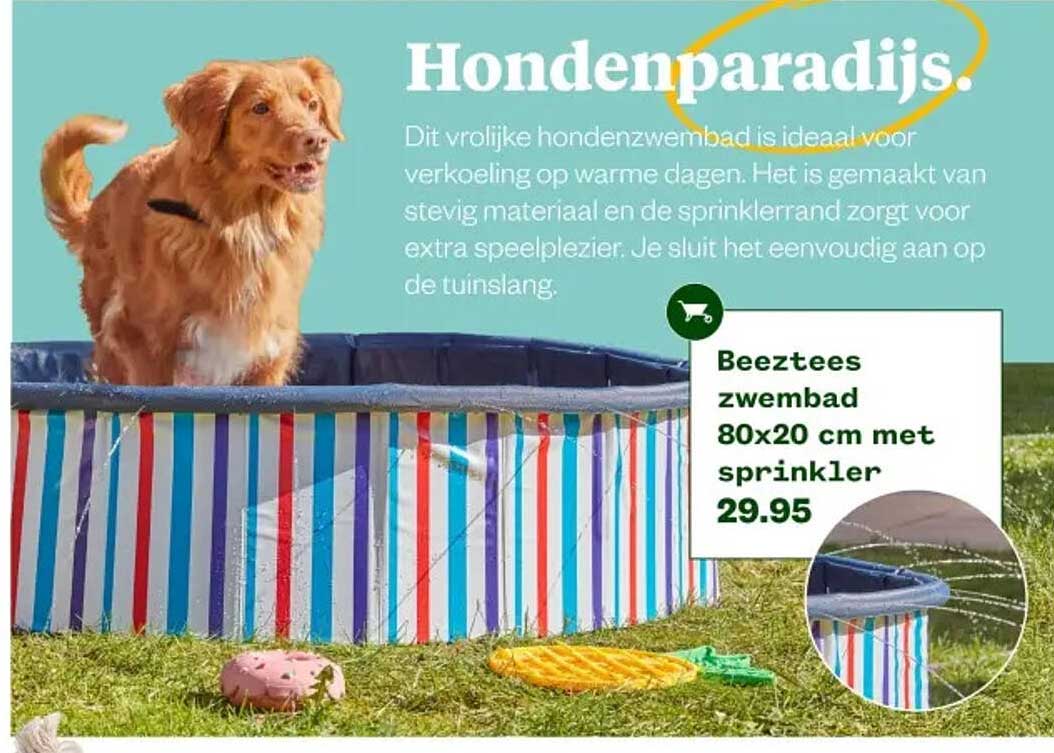 Beeztees zwembad 80x20 cm met sprinkler