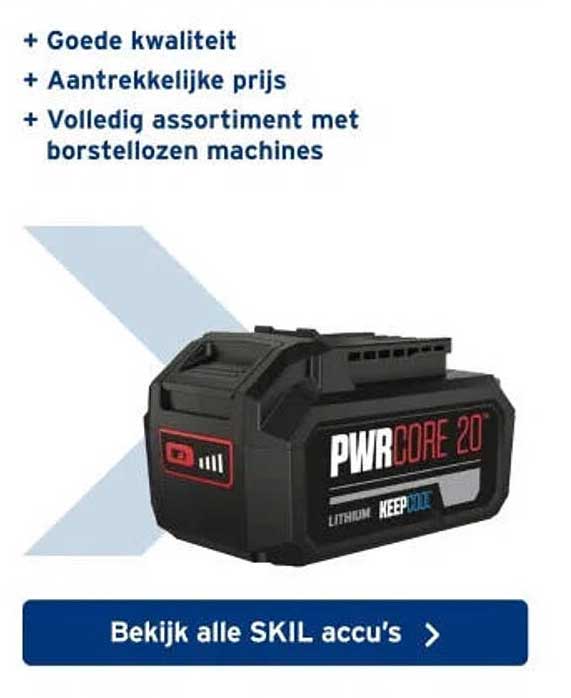 Bekijk alle SKIL accu's