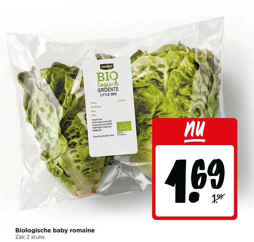 Biologische baby romaine