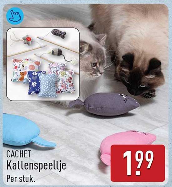 CACHET Kattenspeeltje