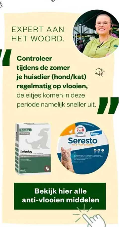 Controleer tijdens de zomer je huisdier (hond/kat) regelmatig op vlooien, de eitjes komen in deze periode namelijk sneller uit.