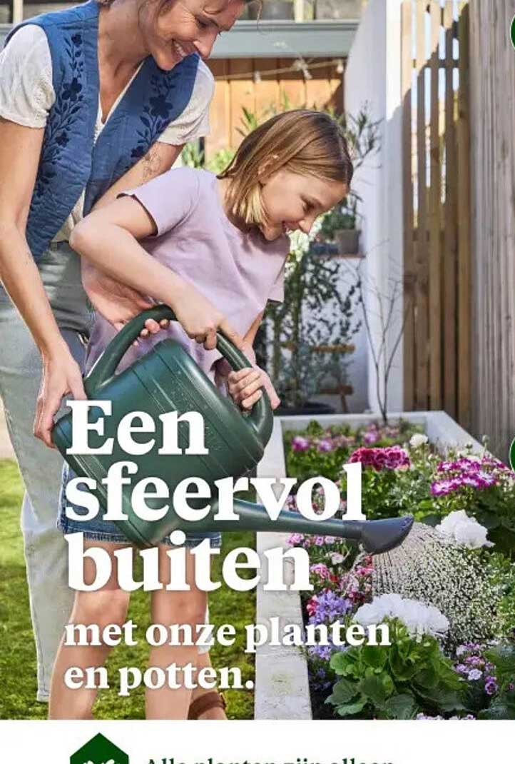 Een sfeervol buiten met onze planten en potten.
