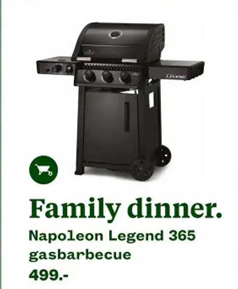Family dinner. Napoleon Legend 365 gasbarbecue