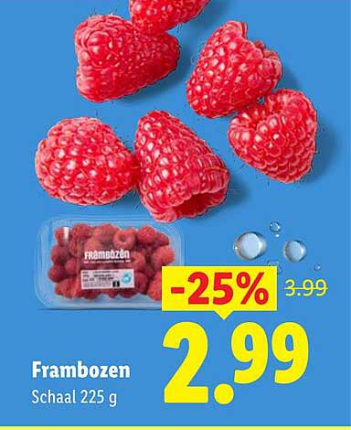 Frambozen