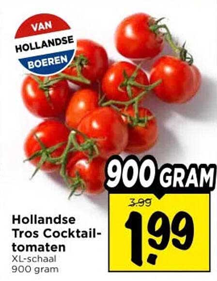 Hollandse Tros Cocktailtomaten XL-schaal 900 gram
