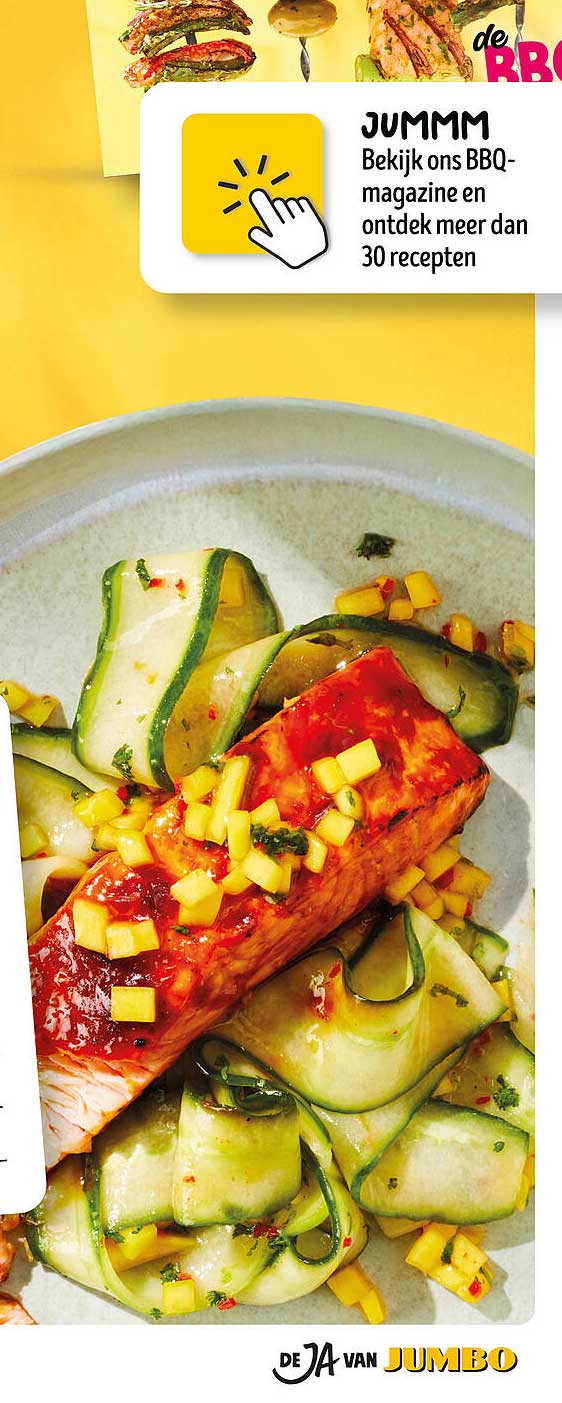JUMMM Bekijk ons BBQ-magazine en ontdek meer dan 30 recepten