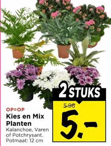 Kies en Mix Planten