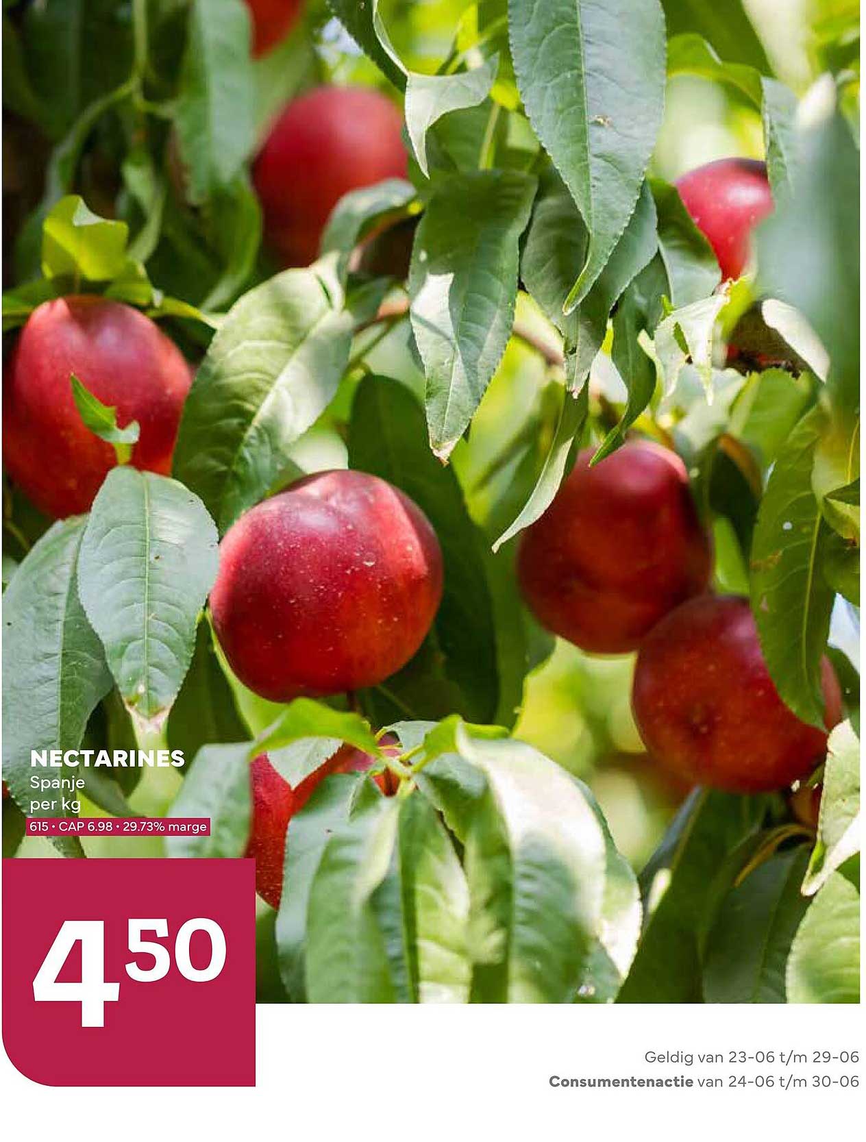 NECTARINES Spanje per kg