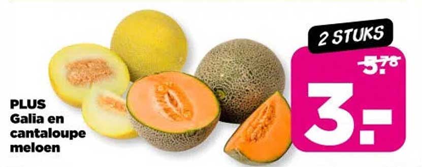 PLUS Galia en cantaloupe meloen 2 stuks