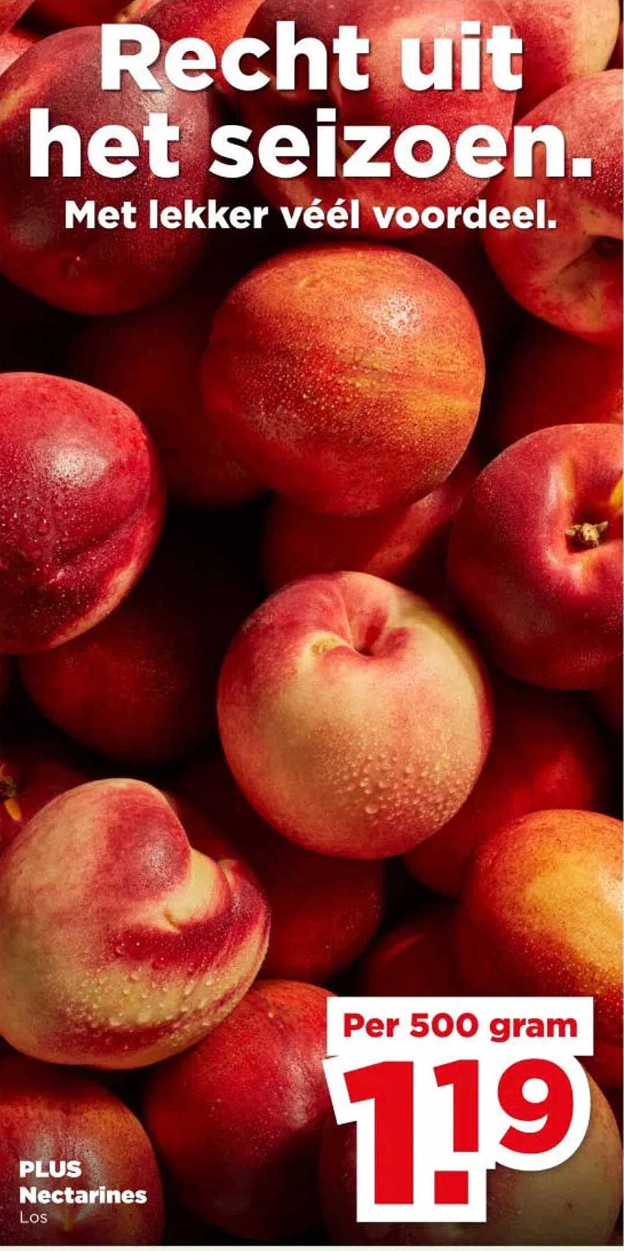 PLUS Nectarines Los