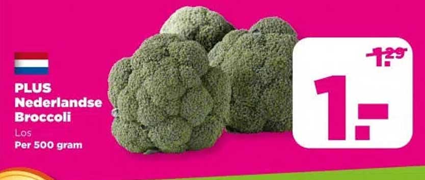 PLUS Nederlandse Broccoli