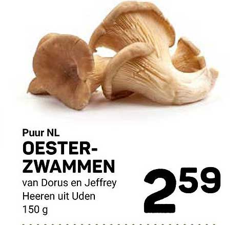 Puur NL OESTER-ZWAMMEN van Dorus en Jeffrey Heeren uit Uden 150 g