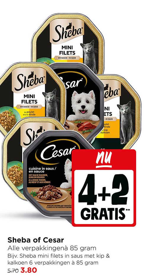 Sheba of Cesar Alle verpakkingen 85 gram 4+2 GRATIS**