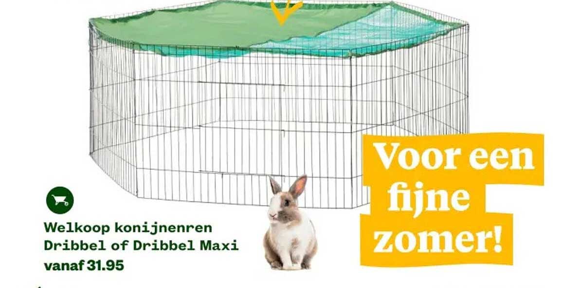 Welkoop konijnenren Dribbel of Dribbel Maxi