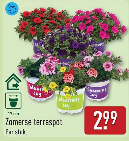 Zomerse terraspot