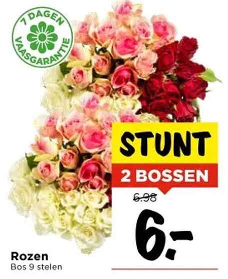 Rozen Bos 9 stelen