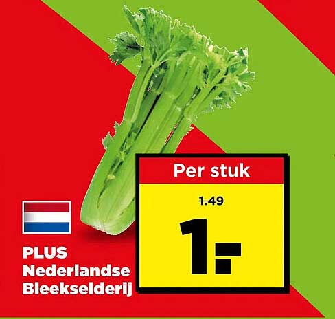 PLUS Nederlandse Bleekselderij