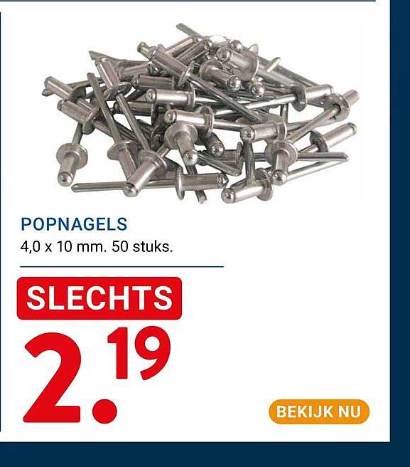 POPNAGELS 4,0 x 10 mm. 50 stuks.