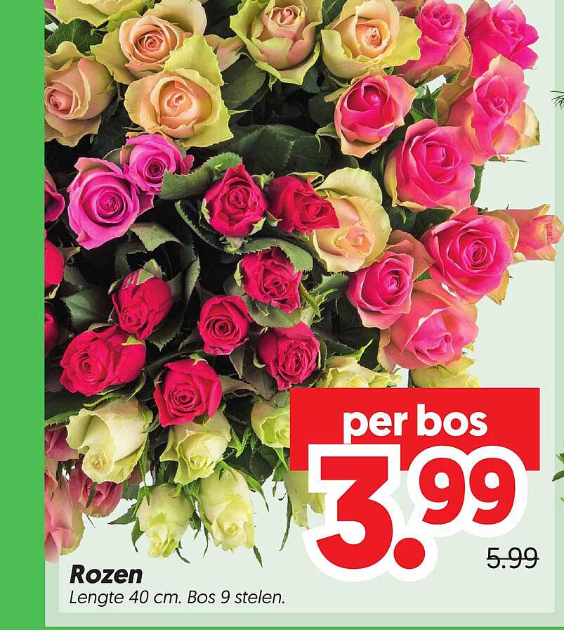 Rozen