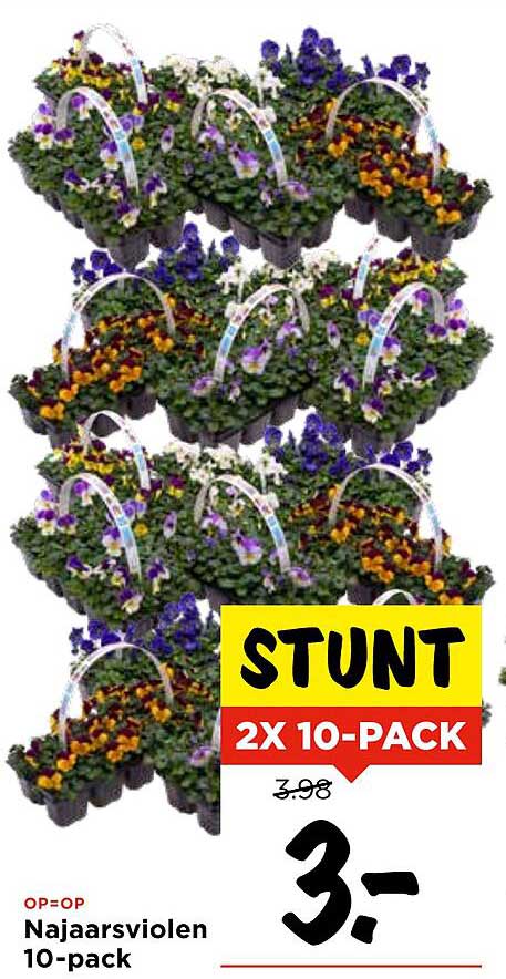 Najaarstemperatuur 10-pack