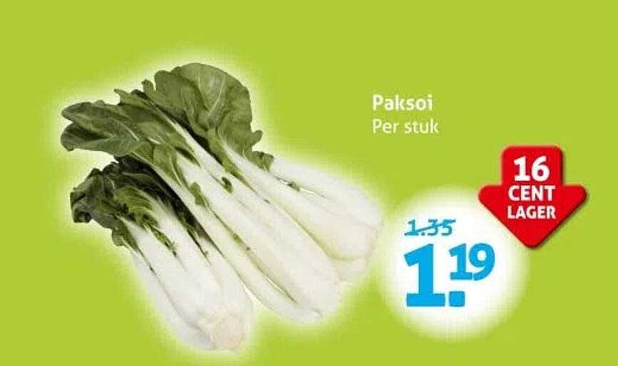 Paksoi Per stuk