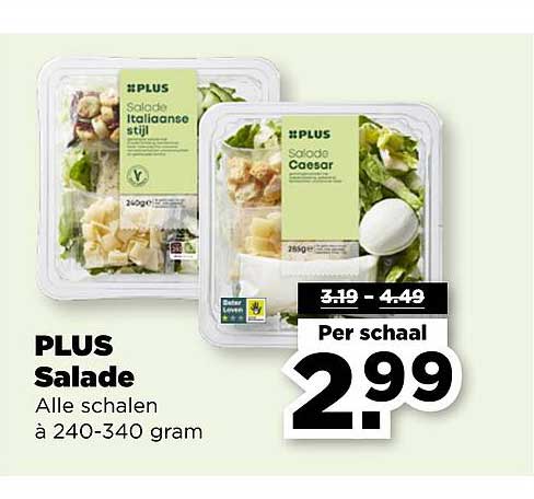 PLUS Salade