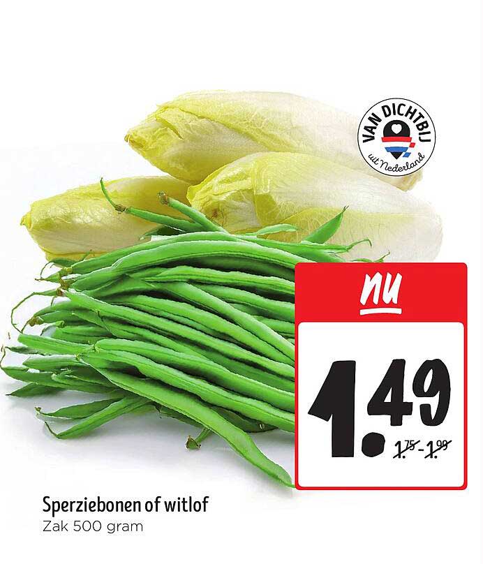 Sperziebonen of witlof Zak 500 gram