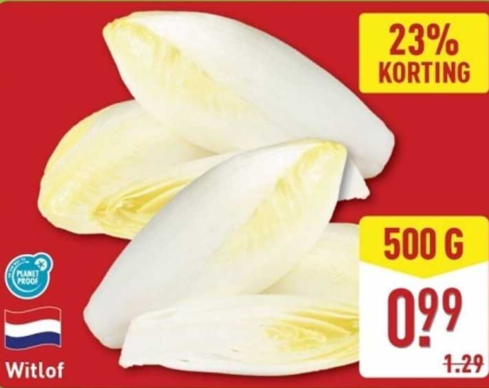Witlof 500 g