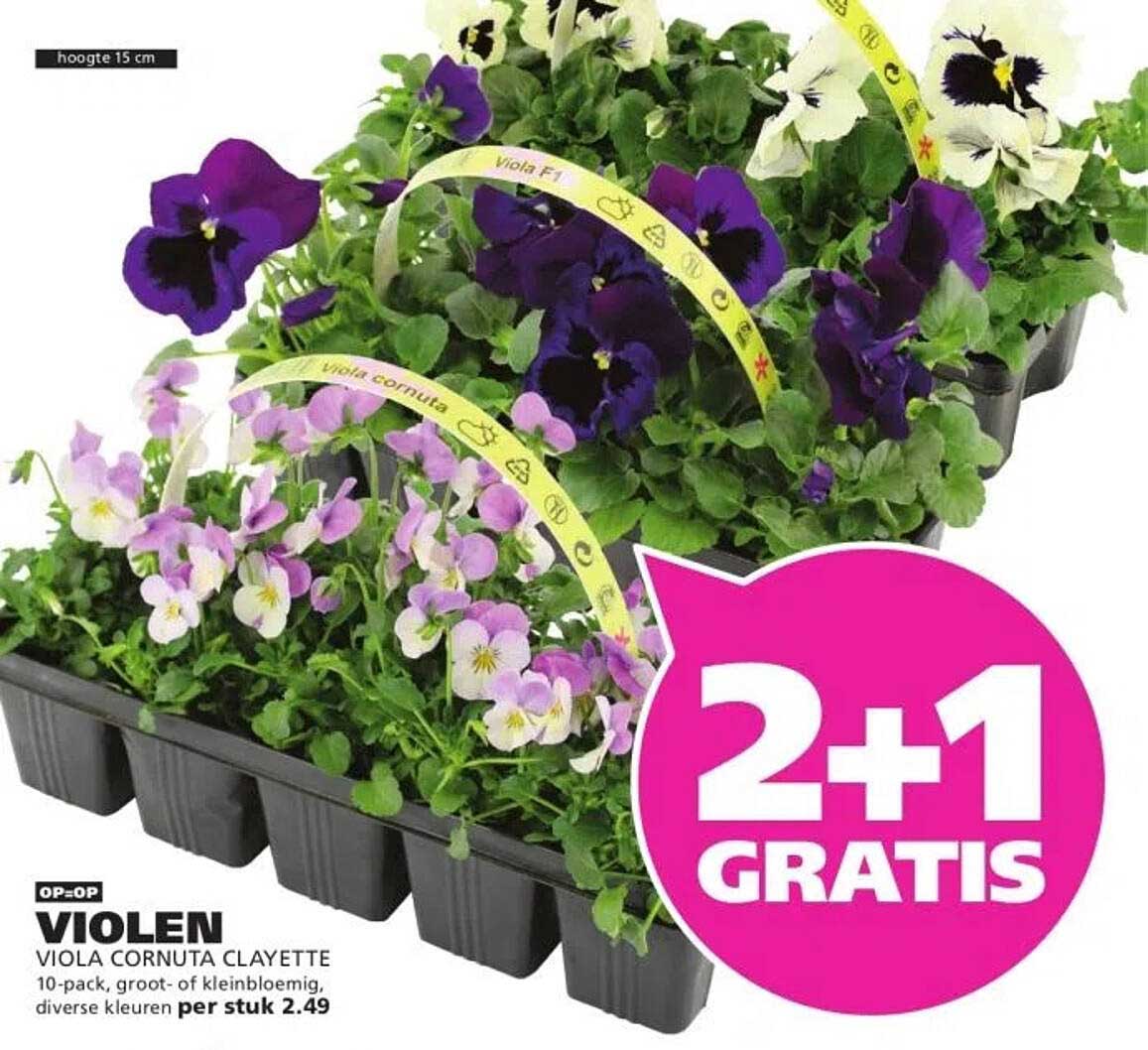 Décopatch papier XL pakket, gemengd online kopen