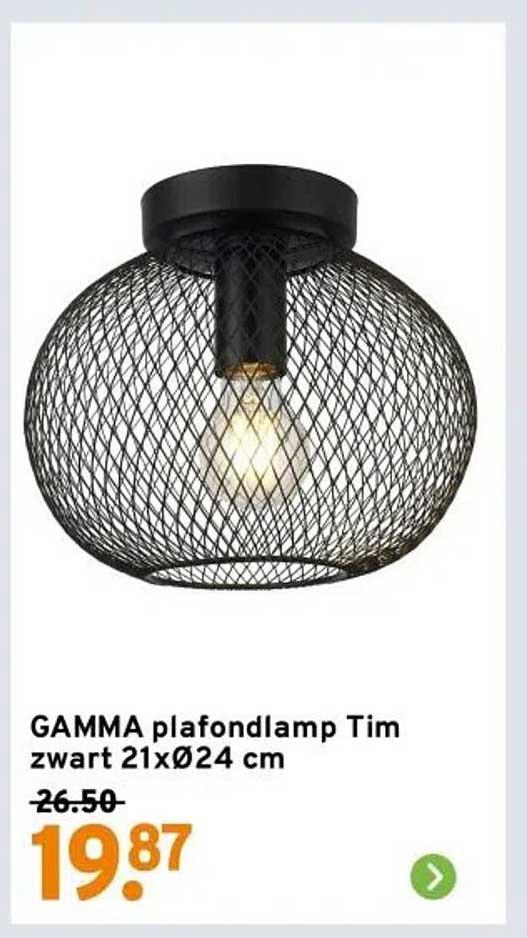 GAMMA plafondlamp Tim zwart 21xØ24 cm
