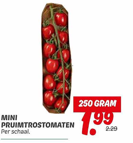 MINI PRUIMTROSTOMATEN
